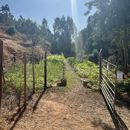 Off-grid Yurt With Spectacular Views In The Algarve Countryside 펜션 *